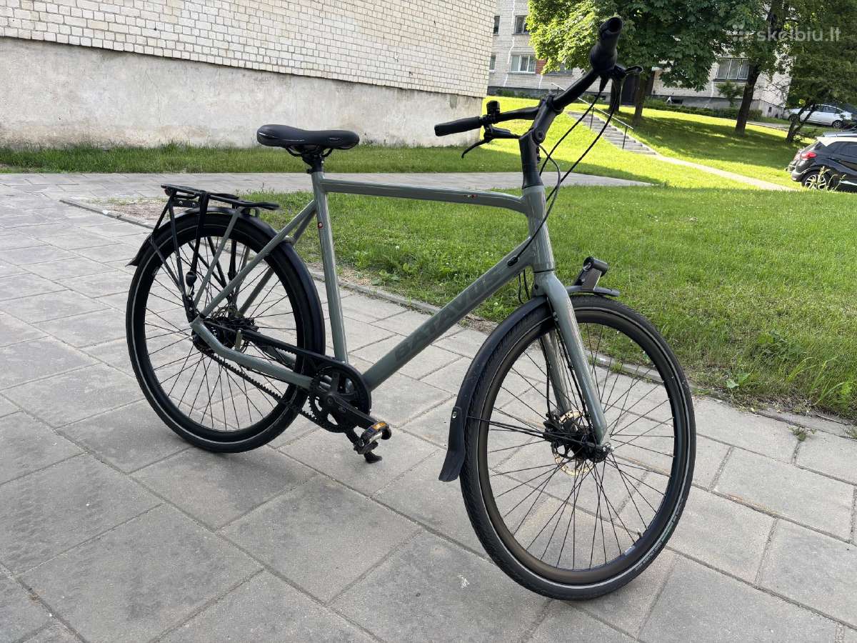 Batavus Dinsdag Exclusive (XL) - nuotraukos Nr. 4