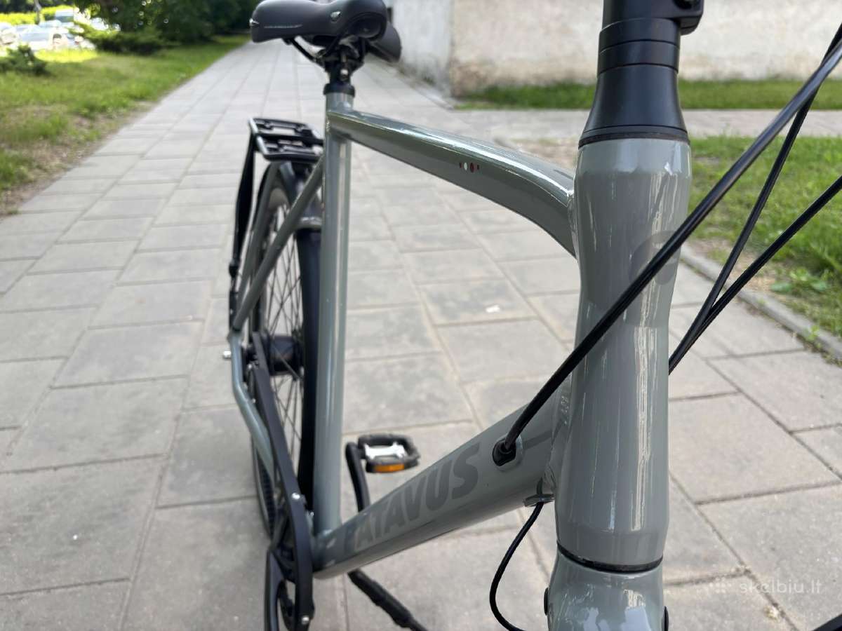 Batavus Dinsdag Exclusive (XL) - nuotraukos Nr. 5