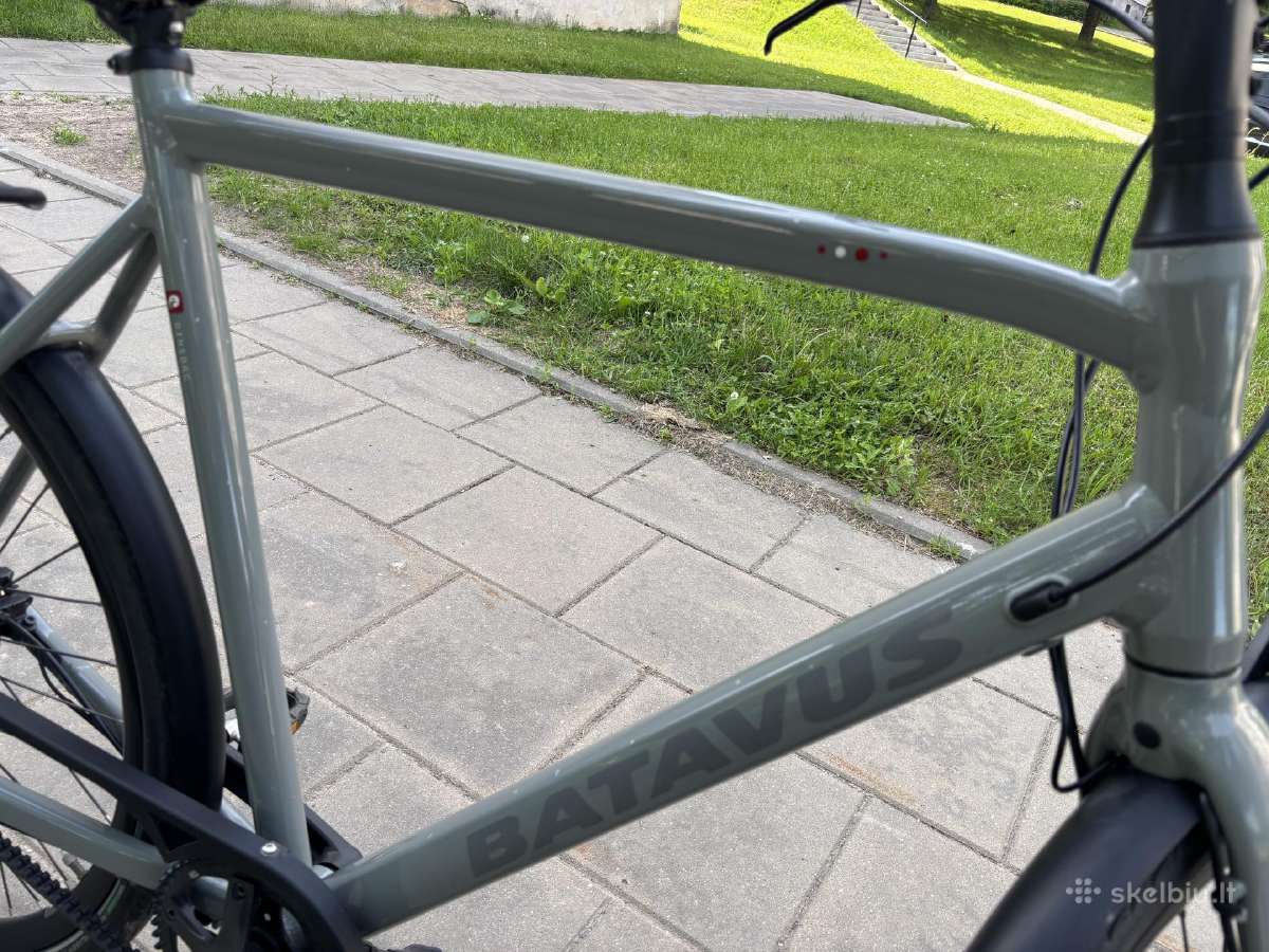 Batavus Dinsdag Exclusive (XL) - nuotraukos Nr. 6