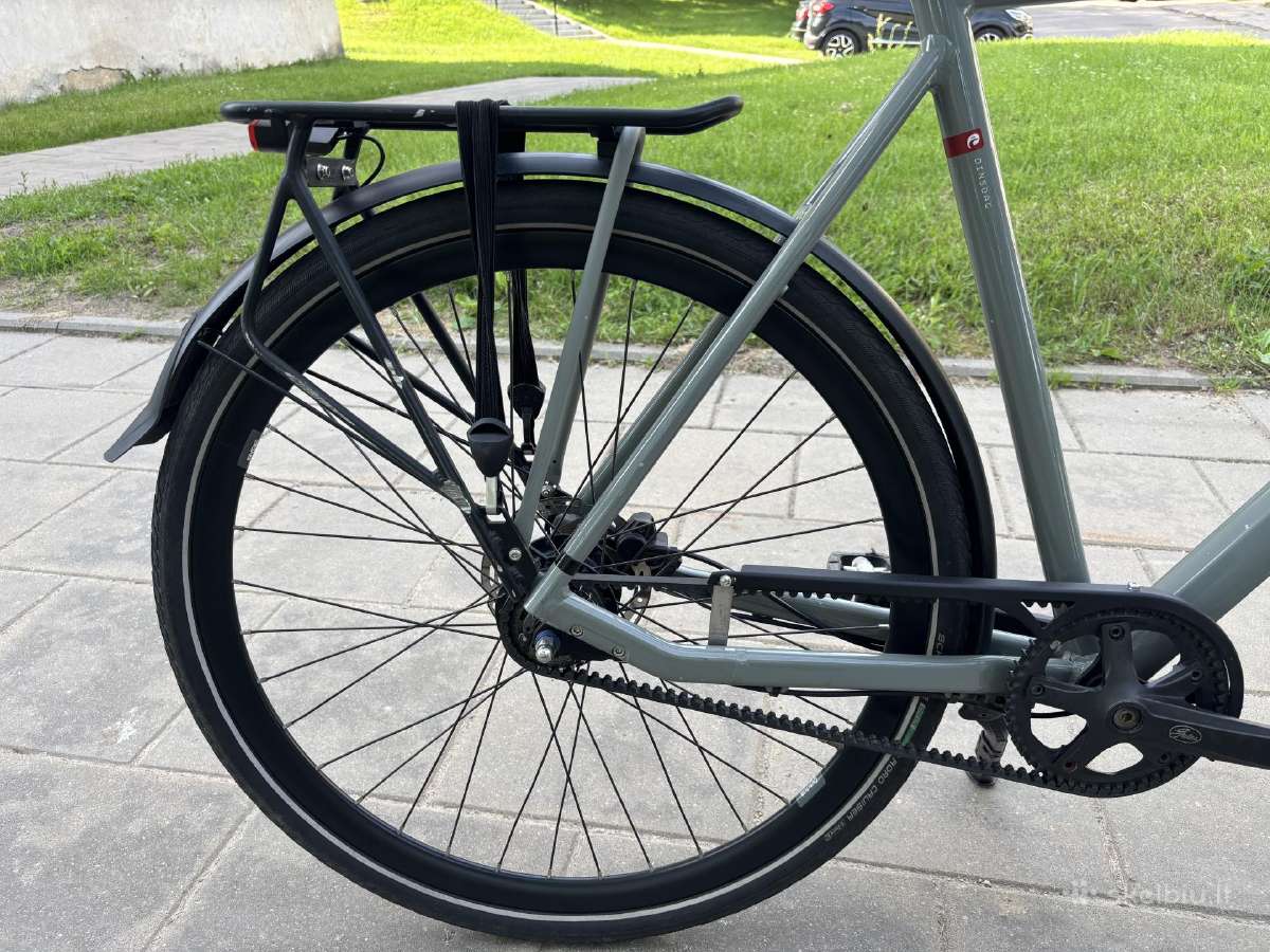 Batavus Dinsdag Exclusive (XL) - nuotraukos Nr. 11