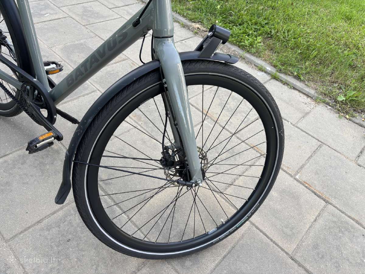 Batavus Dinsdag Exclusive (XL) - nuotraukos Nr. 10