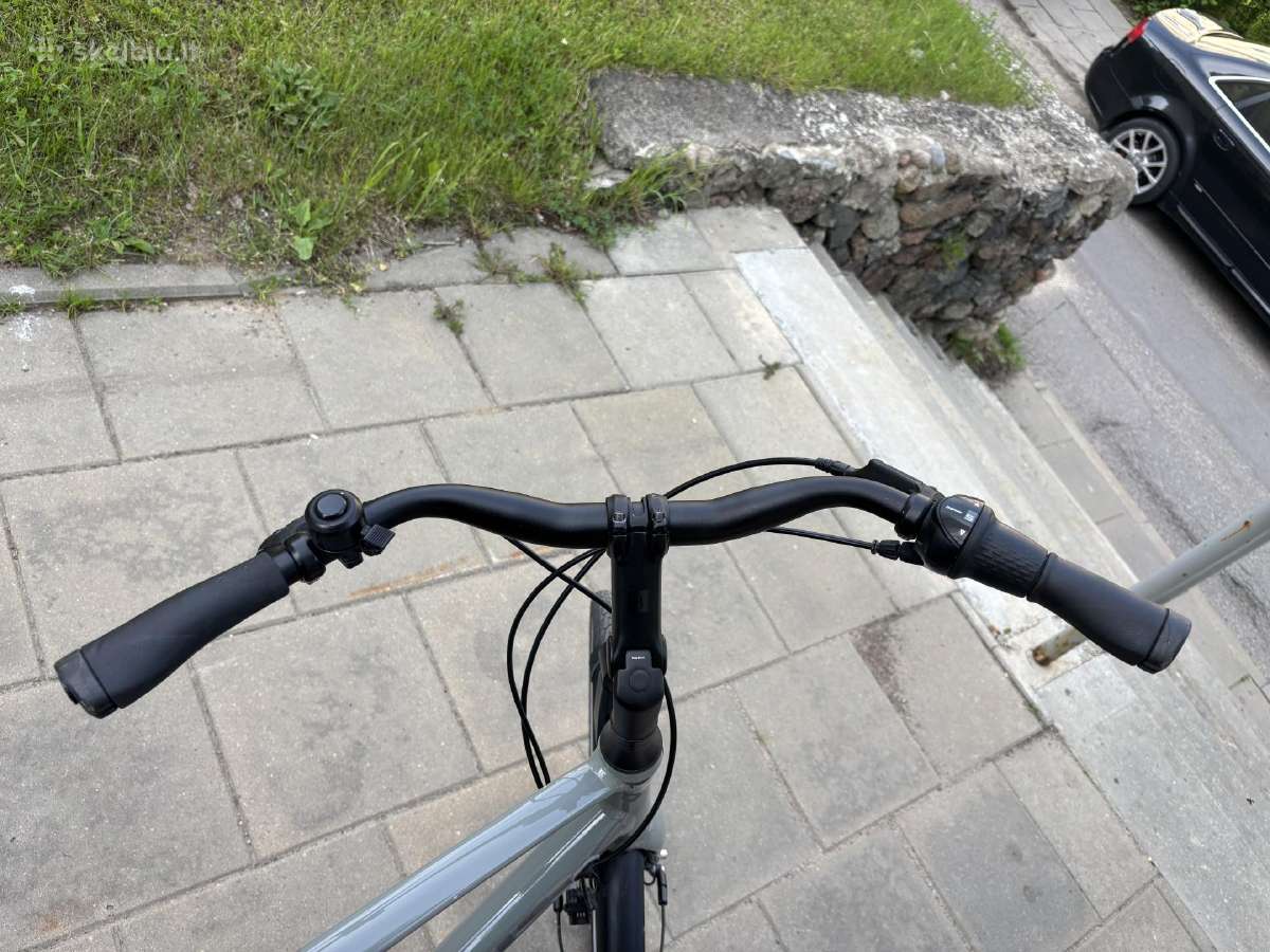 Batavus Dinsdag Exclusive (XL) - nuotraukos Nr. 13