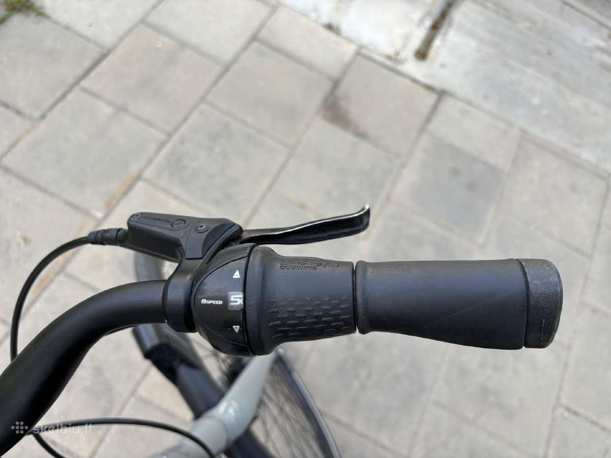 Batavus Dinsdag Exclusive (XL) - nuotraukos Nr. 14