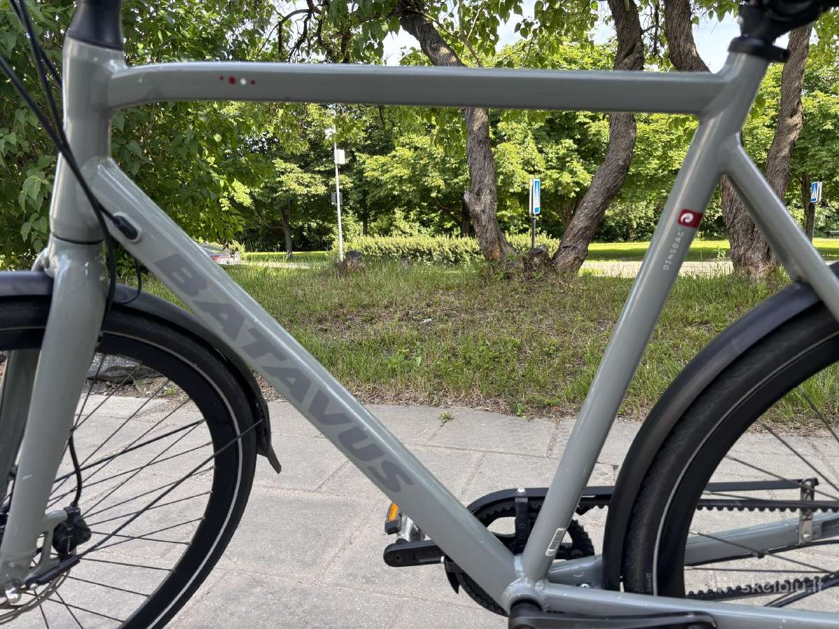 Batavus Dinsdag Exclusive (XL) - nuotraukos Nr. 7