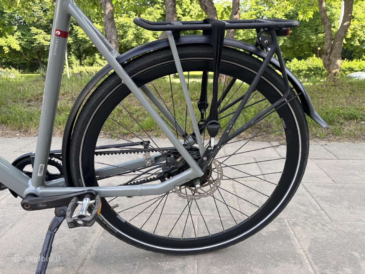 Batavus Dinsdag Exclusive (XL) - nuotraukos Nr. 12