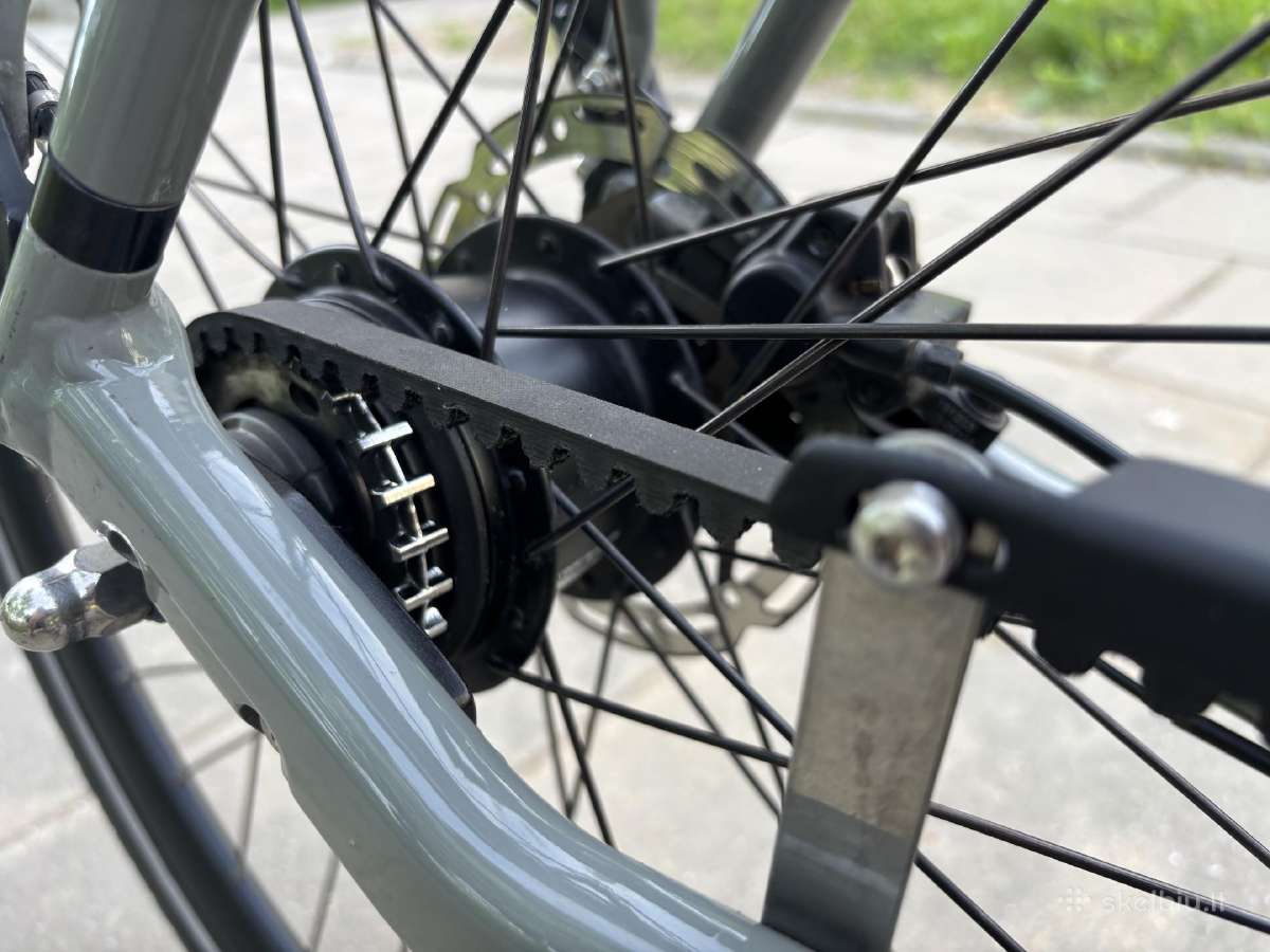 Batavus Dinsdag Exclusive (XL) - nuotraukos Nr. 18