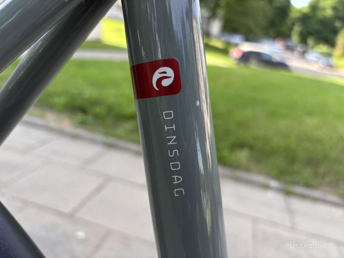 Batavus Dinsdag Exclusive (XL) - nuotraukos Nr. 8