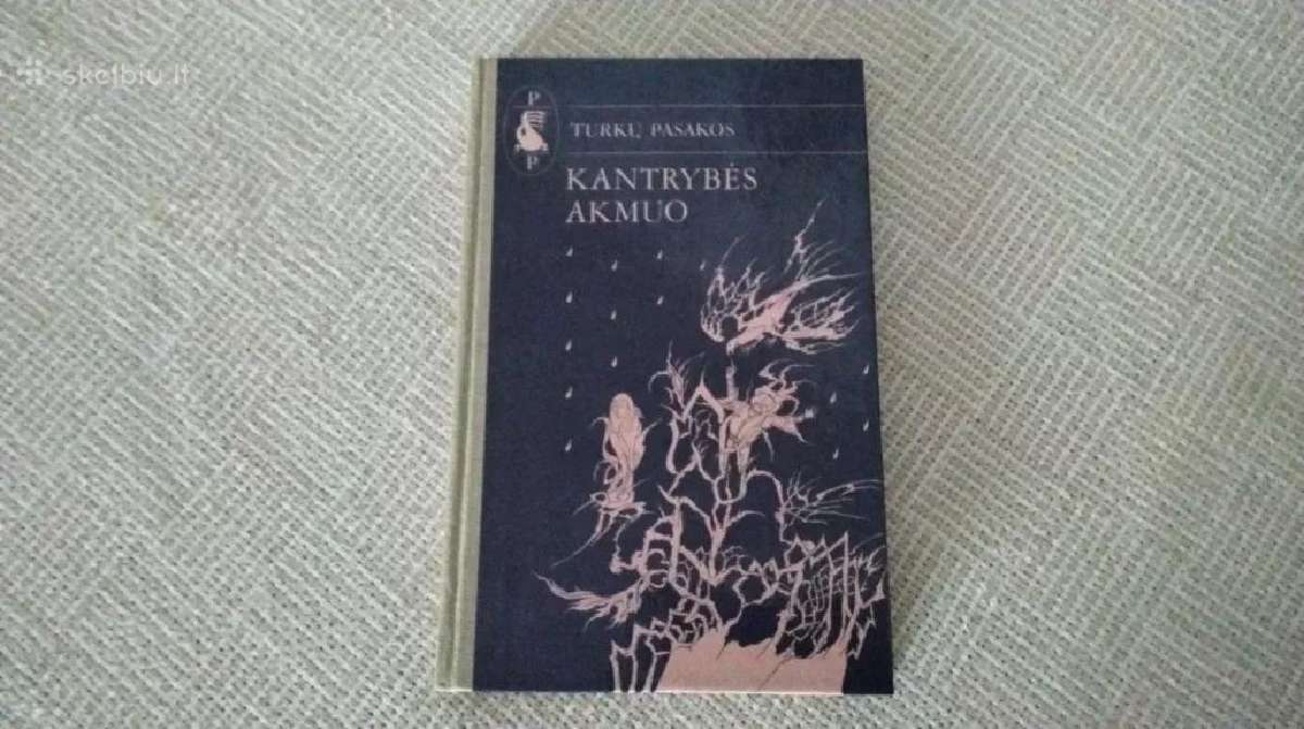 Vėjų miesto pasakos Gintarė Adomaitytė - nuotraukos Nr. 24