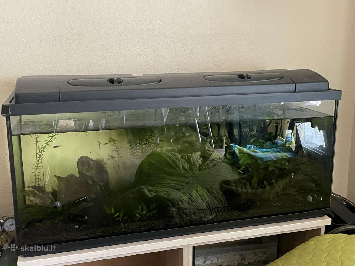 240l Akvariumas su apšvietimu