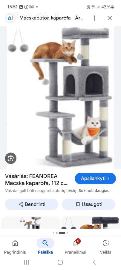 Kačių draskyklės - nuotraukos Nr. 5