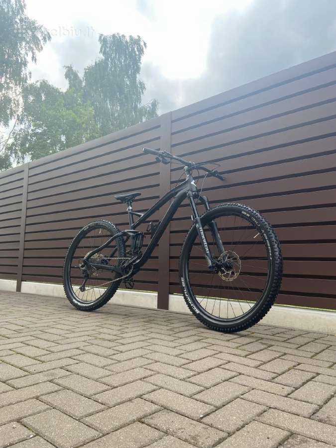 Gekko Firm Amt 29