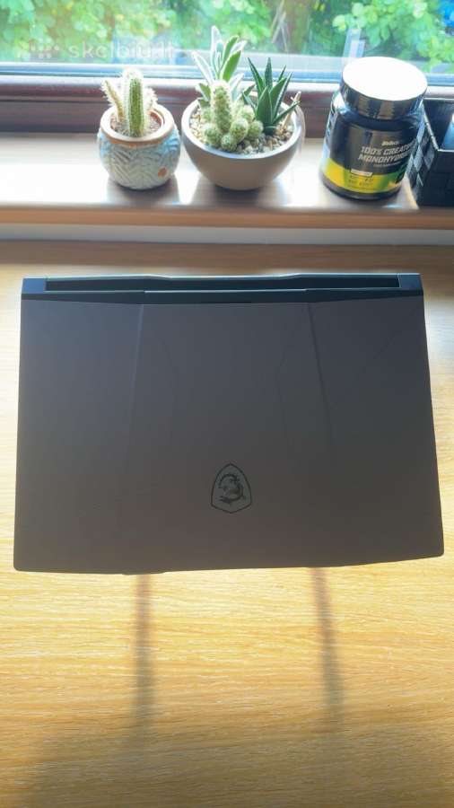 Msi Pulse Gl66 gaming laptopas + stovas
