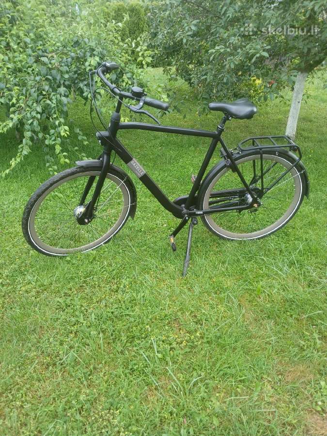 Gazelle esprit