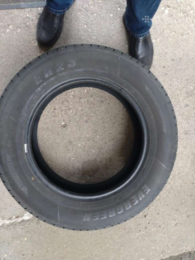 Padangos Evergreen R17