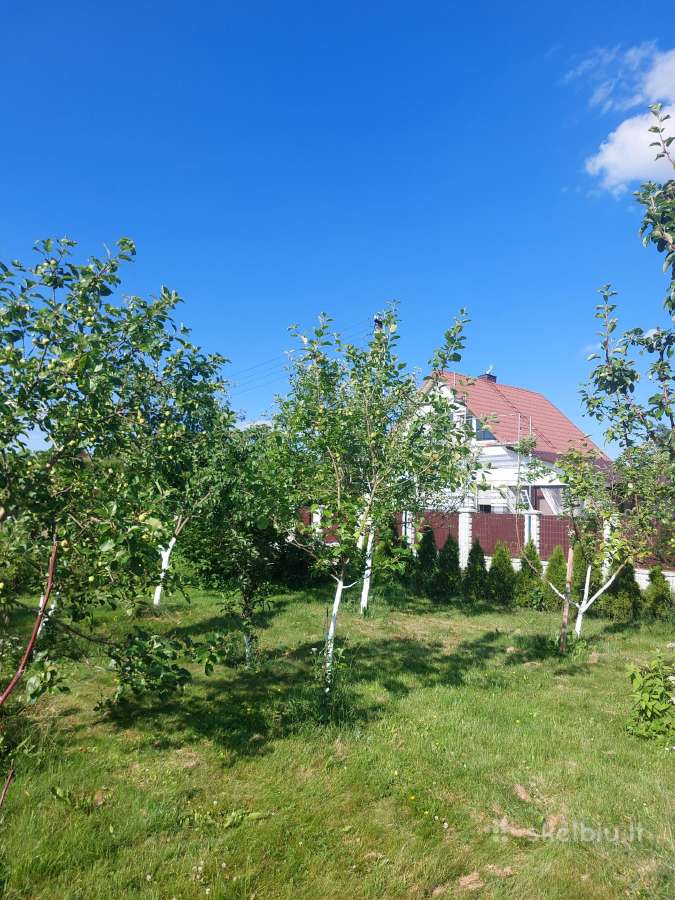 Parduodamas 13a. sodas SB "Stumbras", Stoškai - nuotraukos Nr. 10
