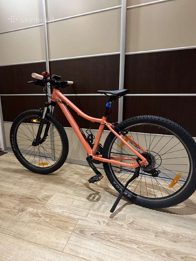 Scott Contessa 26