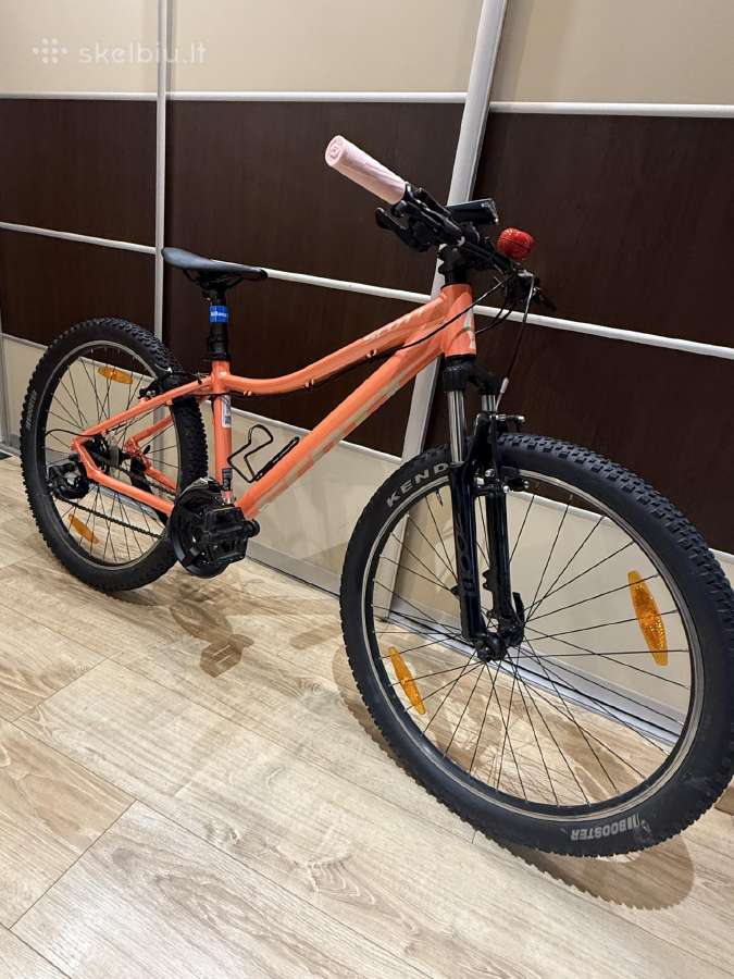Scott Contessa 26 - nuotraukos Nr. 3