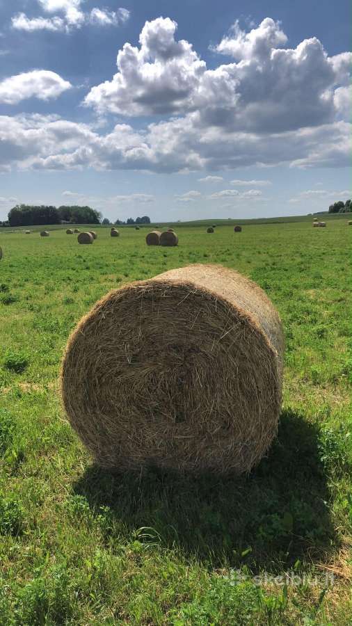 Parduodu šieną 18eur vienetas