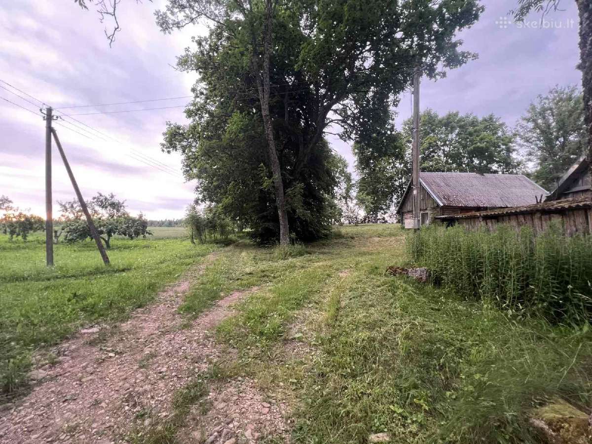 Parduodama sodyba su šalia esančio sklypo dalimi - nuotraukos Nr. 23