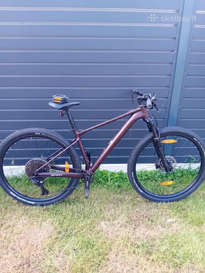 Scott scale contesa