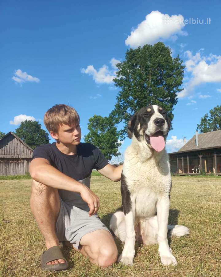 Puikios Kalytės. Kilmingos, sveikos, gražios.