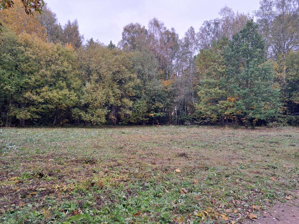 Parduodamas 12a. sklypas Akmeniškių k.