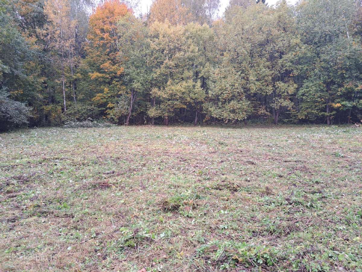 Parduodamas 12a. sklypas Akmeniškių k. - nuotraukos Nr. 3