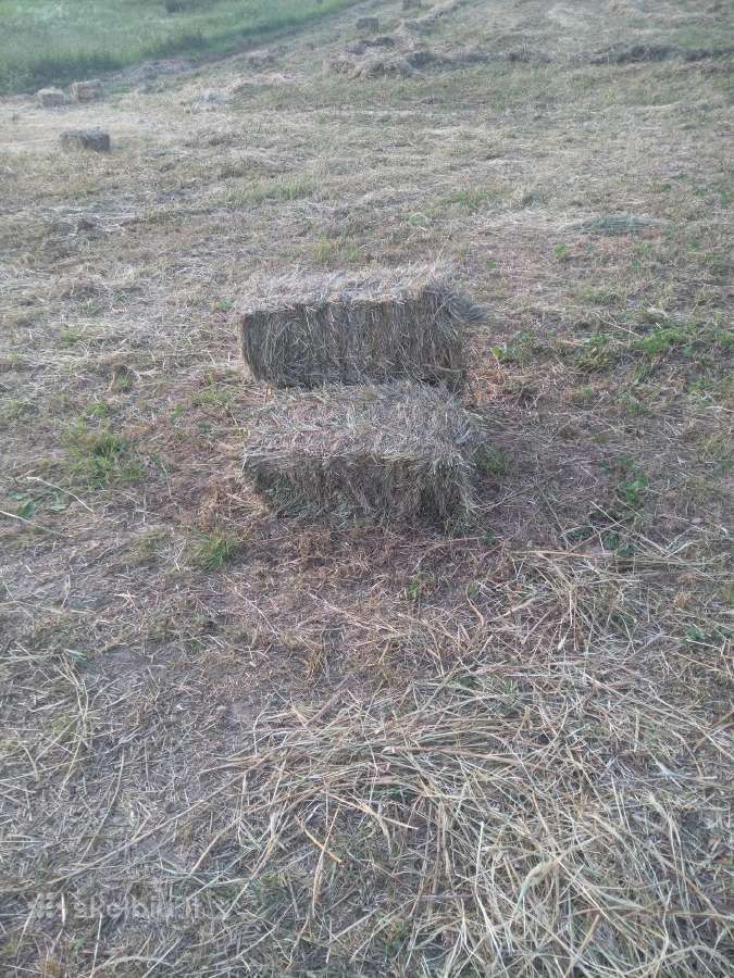 Šienas kitkomis
