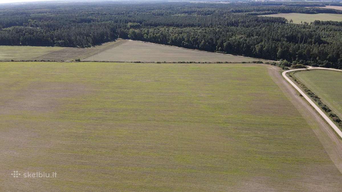 Bendrovė Perka Žemės Sklypus Visoje Lietuvoje - nuotraukos Nr. 5