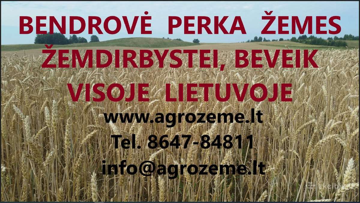 Bendrovė Perka Žemės Sklypus Visoje Lietuvoje - nuotraukos Nr. 9