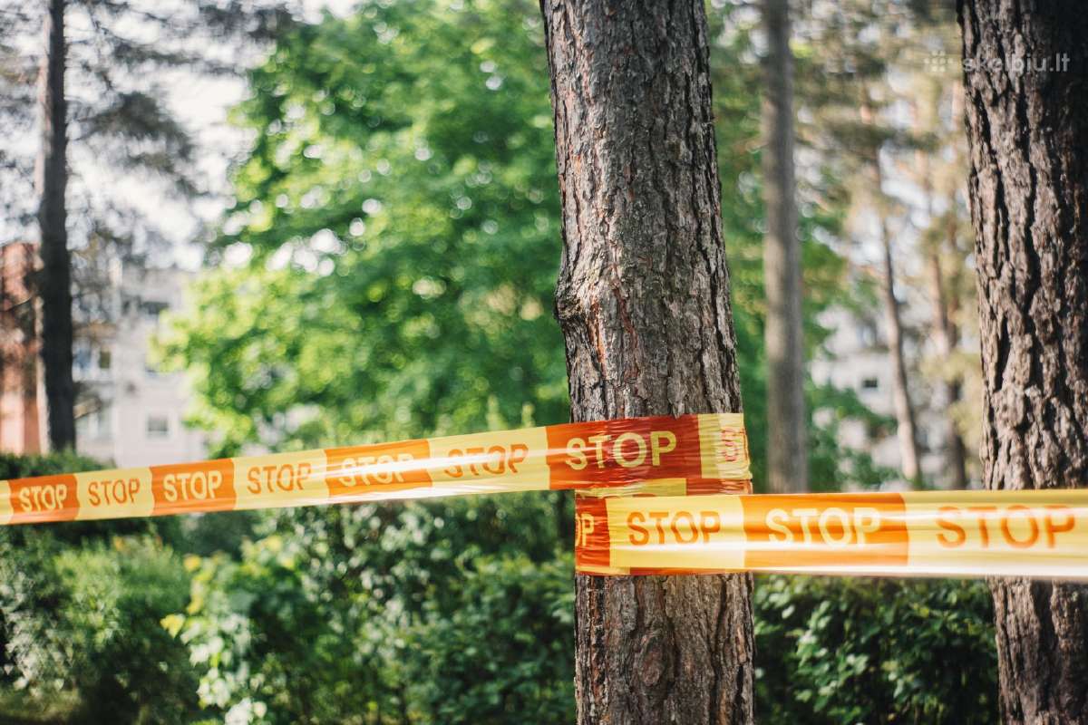Jupiter-8m 2/50 Kiev/contax mount - nuotraukos Nr. 12
