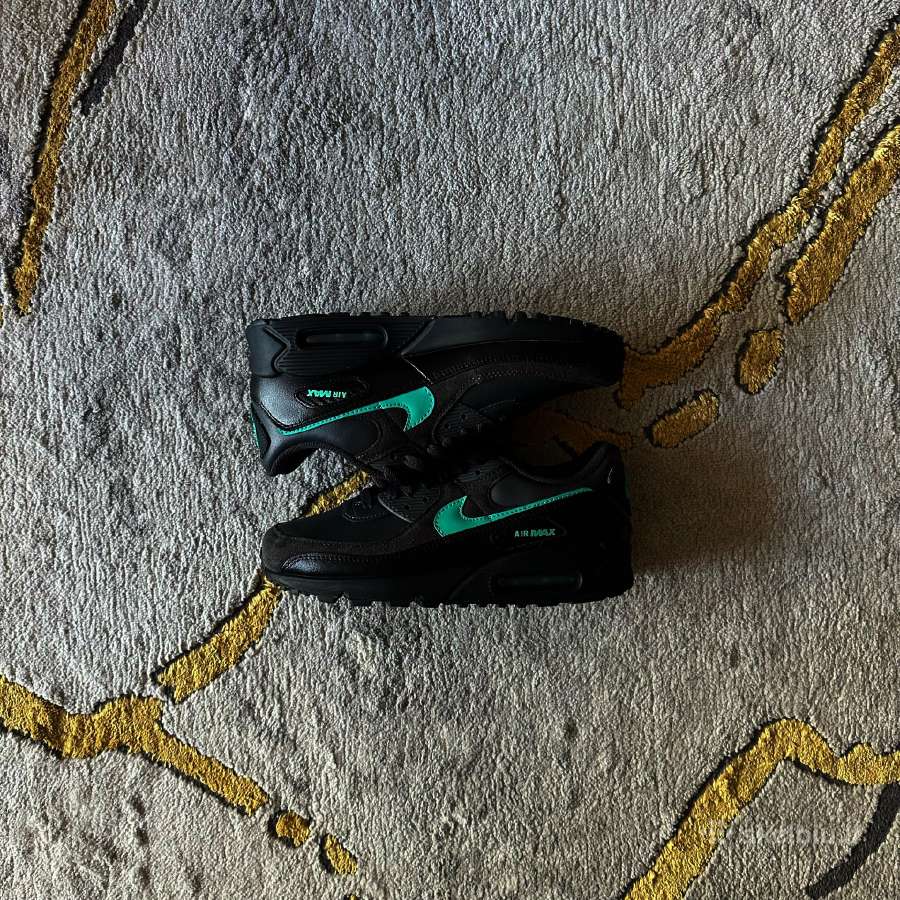 Nike Air Max