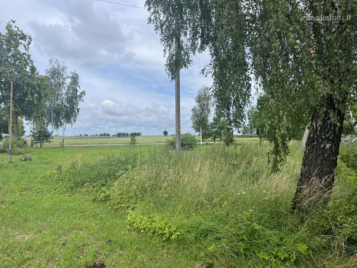 Parduodamas 2 kambarių butas Mergalaukio k. - nuotraukos Nr. 2