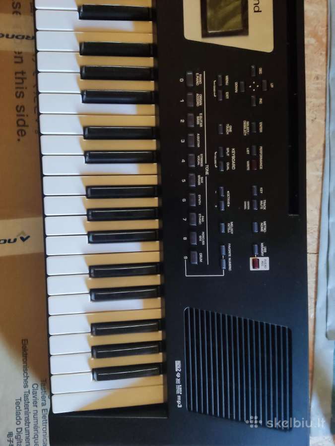 Roland Bk 3 - nuotraukos Nr. 6