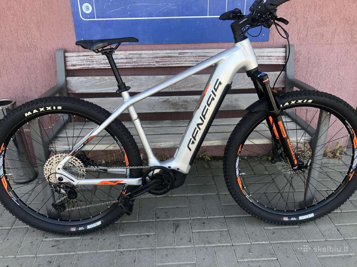 Bosch elektrine Dalis
