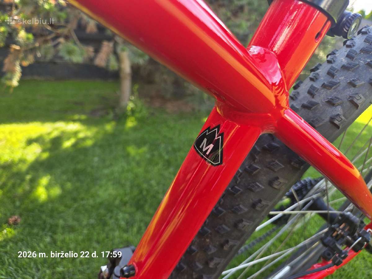 Dviratis Specialized Rockhopper 29 kalnų dviratis - nuotraukos Nr. 5