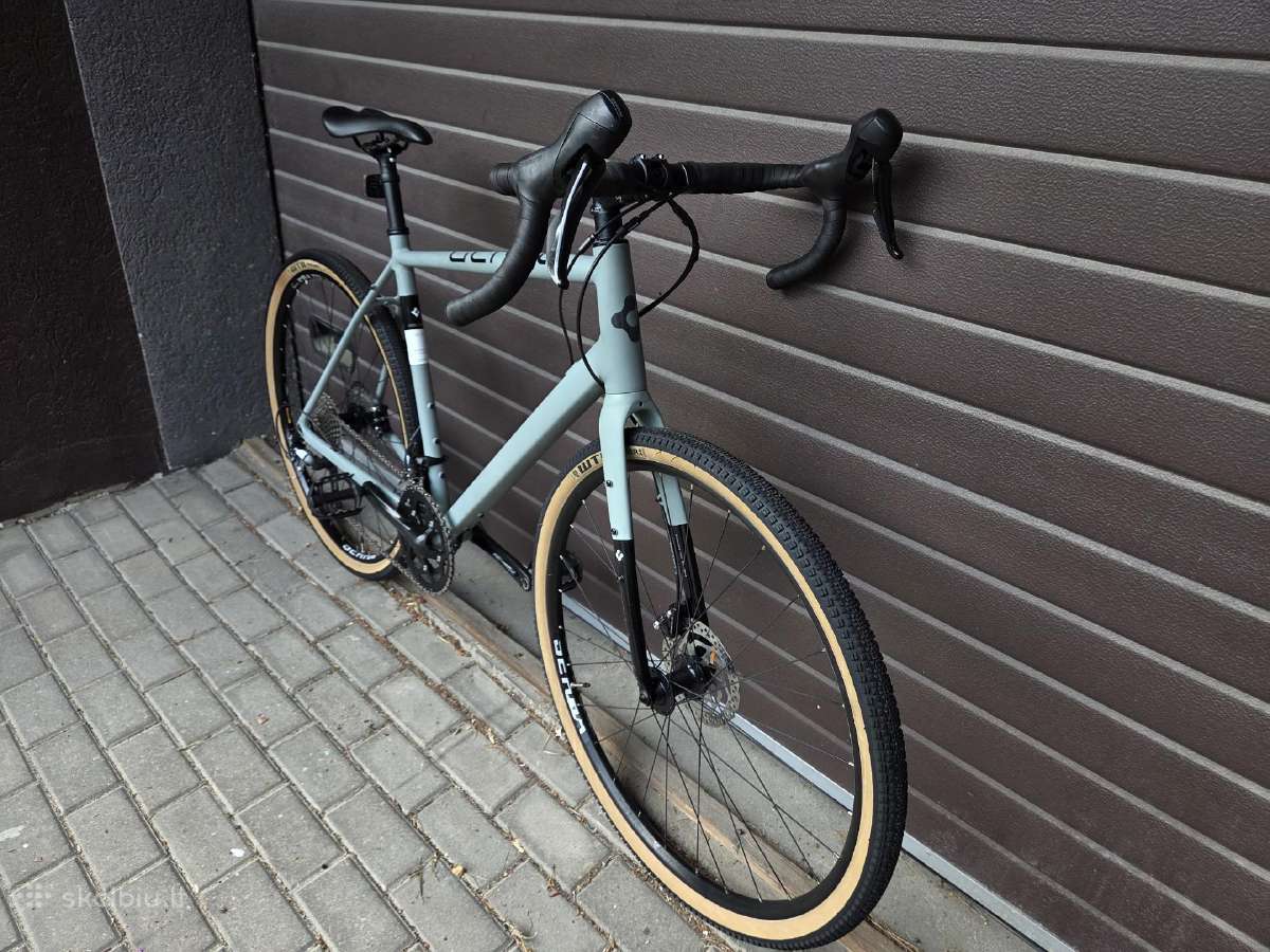 Gekko Firm Grv - nuotraukos Nr. 2