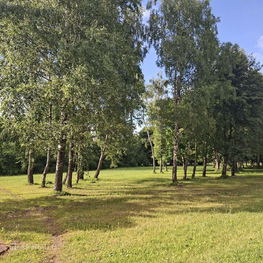 Sklypų, medžių pjovimas biokurui
