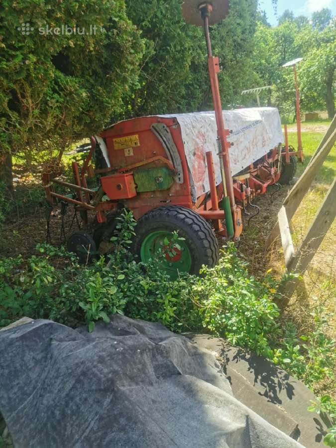 Sėjamoji „polonez“