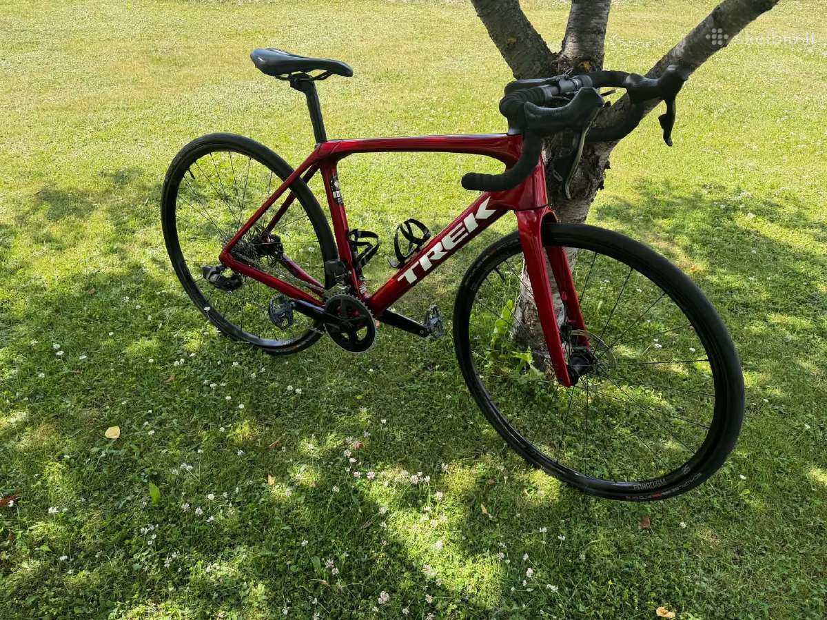 Trek Domane