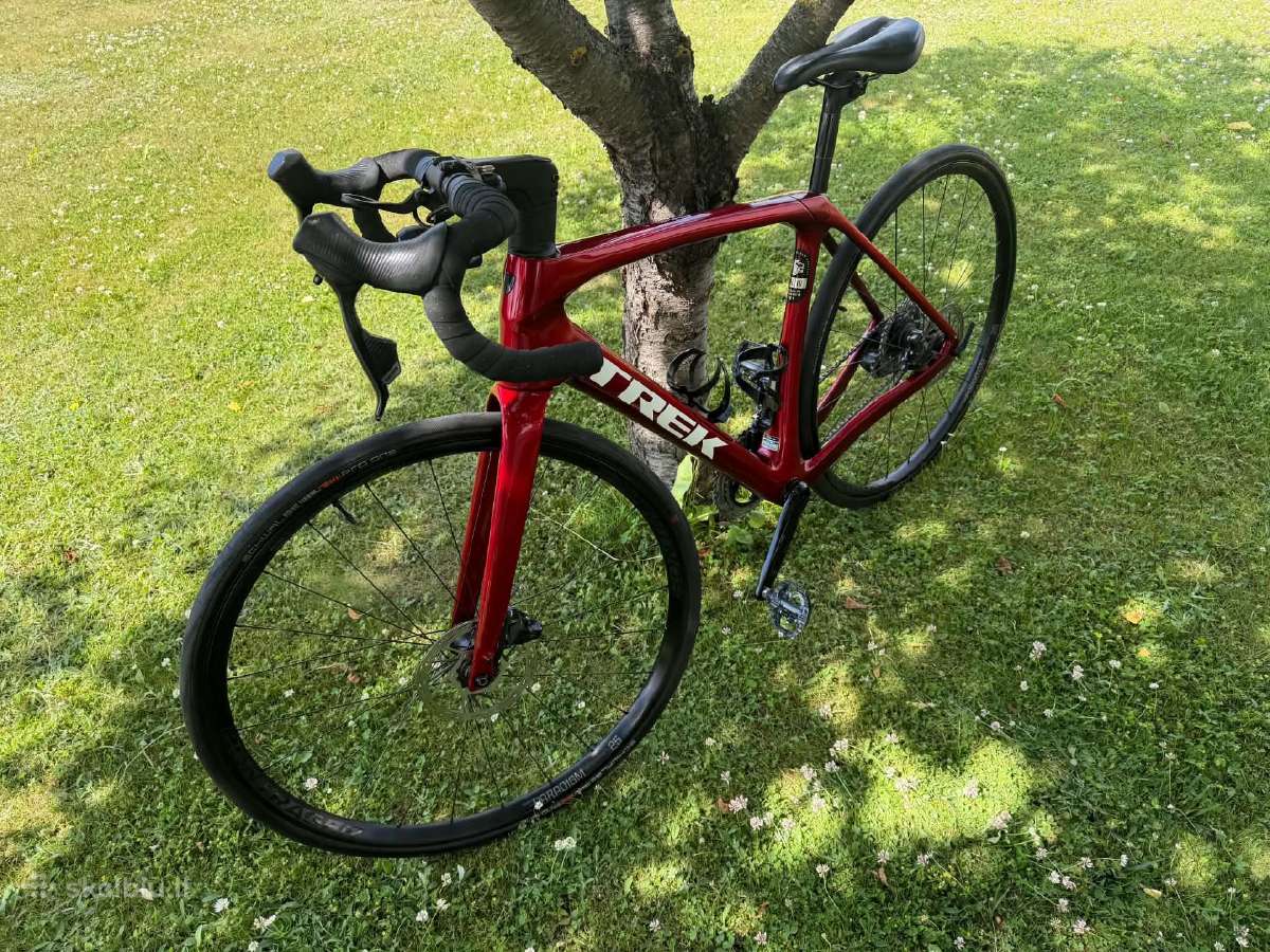 Trek Domane - nuotraukos Nr. 2