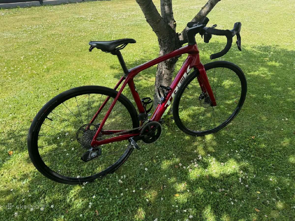 Trek Domane - nuotraukos Nr. 6