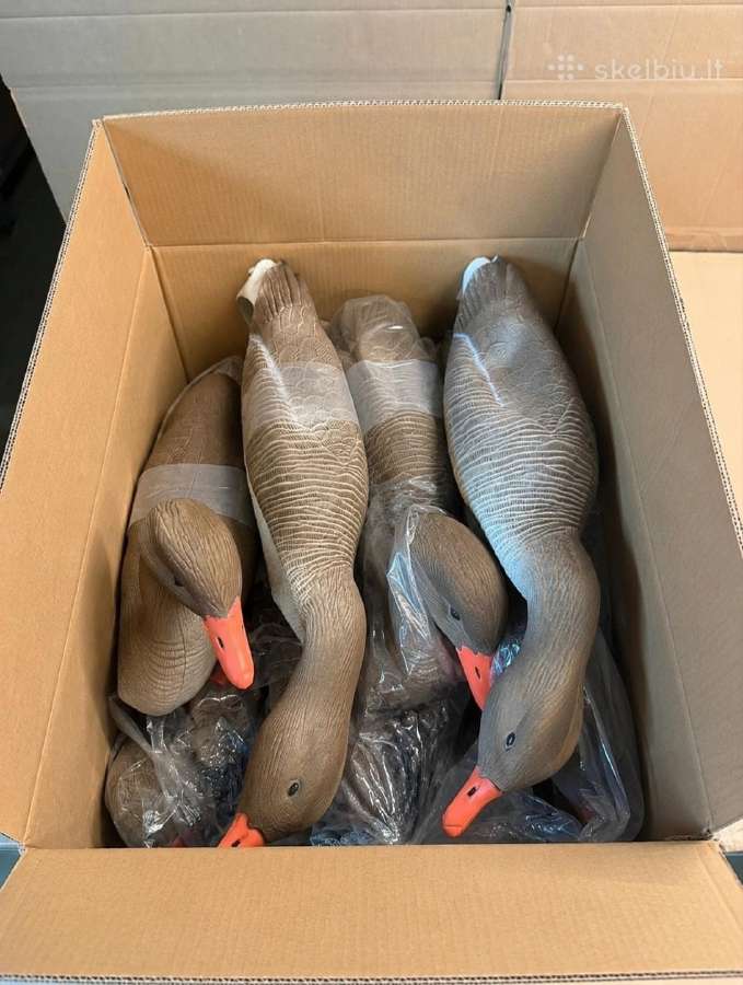 Žąsų profiliniai muliažai Jvs Decoys 6 vienetai