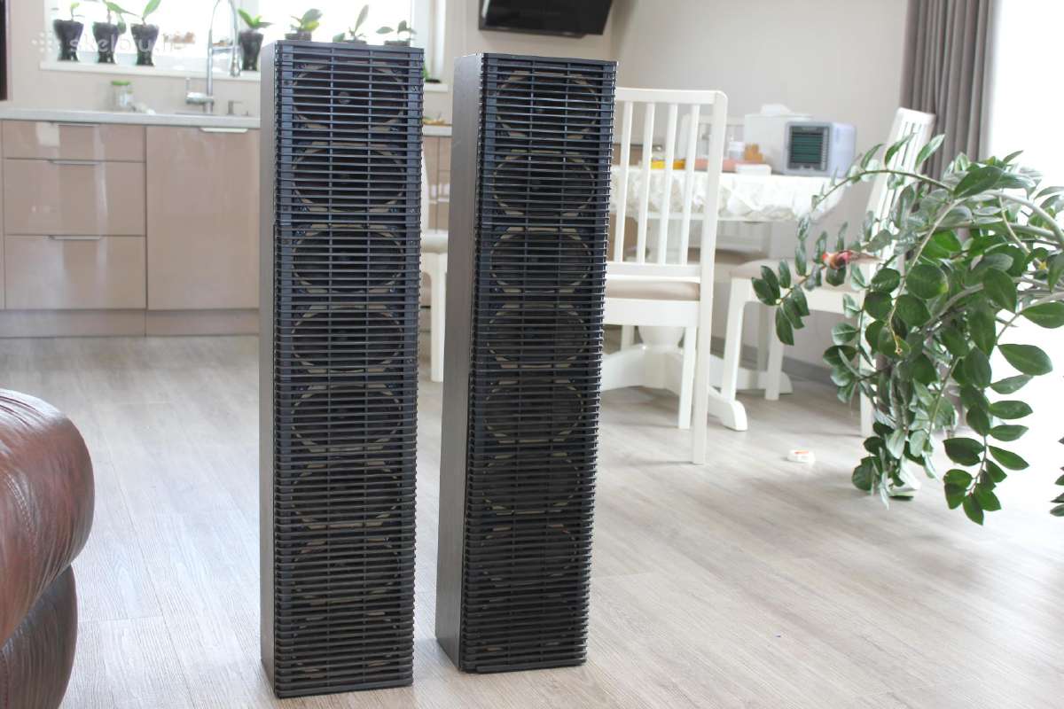 Koloneles TSRS laikmecio.