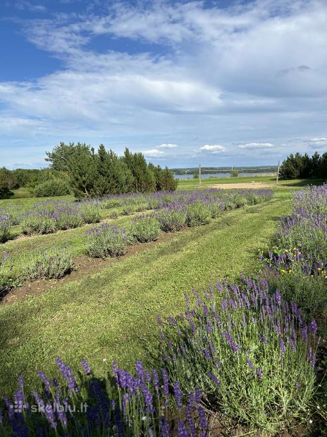 Ivio pirtis nuo Vilniaus 25km - nuotraukos Nr. 14