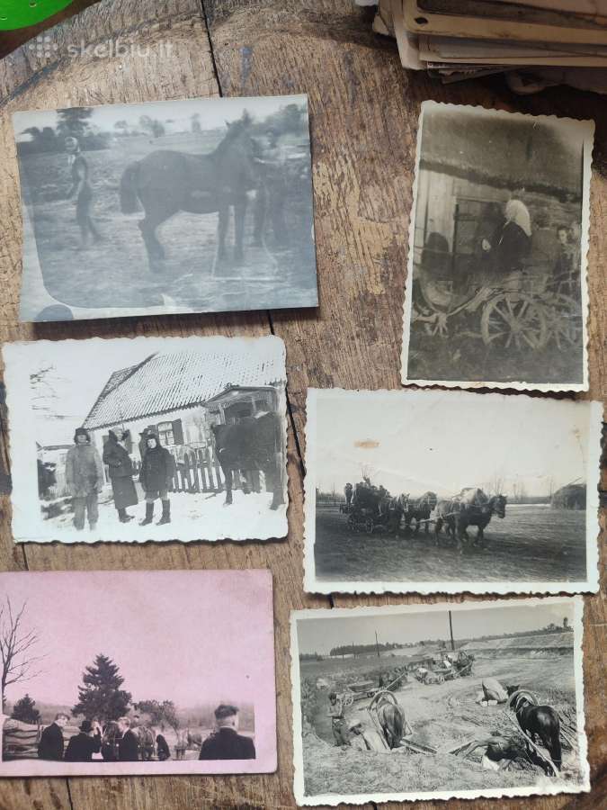 Senos foto su arkliukais ir jų darbu - nuotraukos Nr. 8