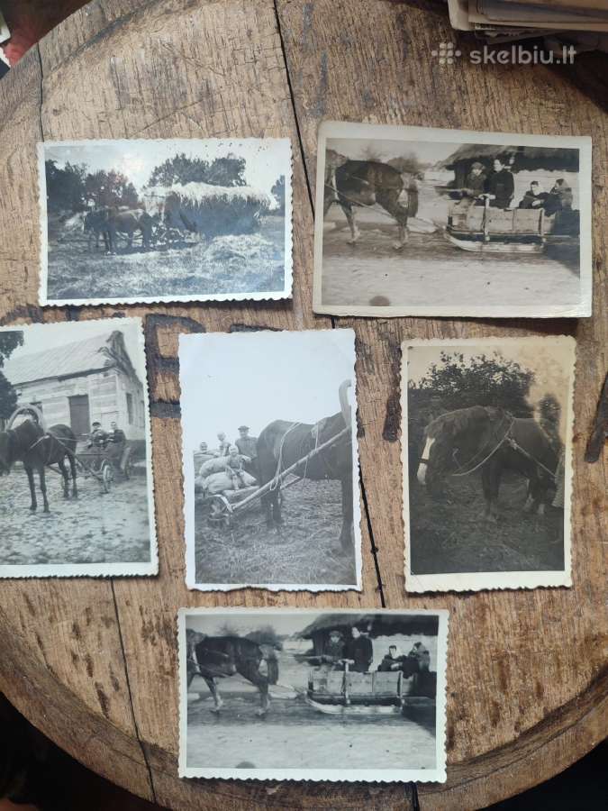 Senos foto su arkliukais ir jų darbu - nuotraukos Nr. 9