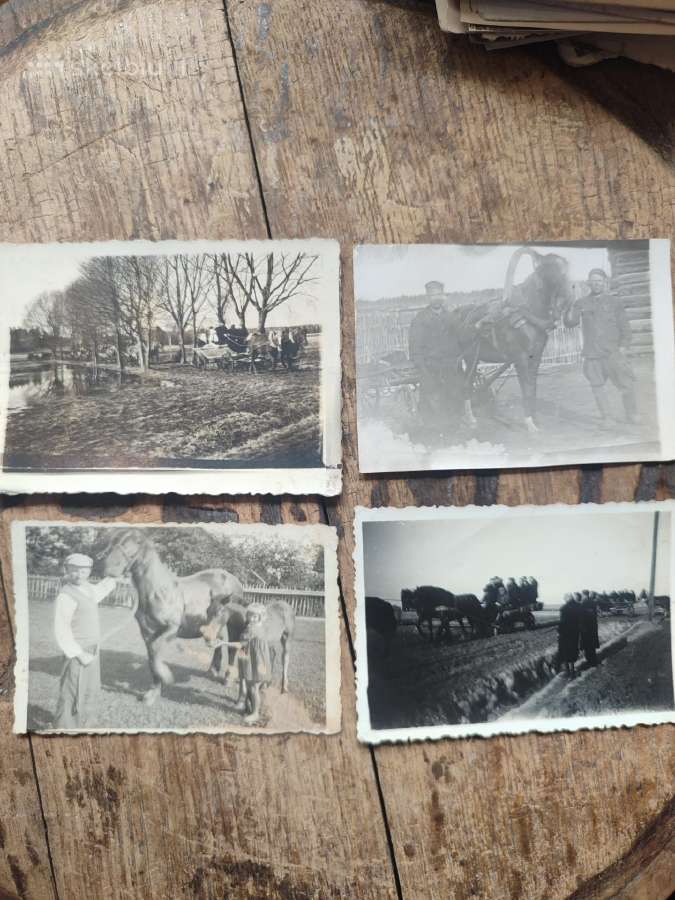 Senos foto su arkliukais ir jų darbu - nuotraukos Nr. 11