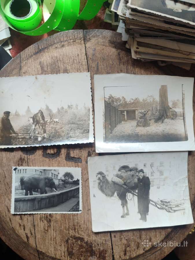 Senos foto su arkliukais ir jų darbu - nuotraukos Nr. 12