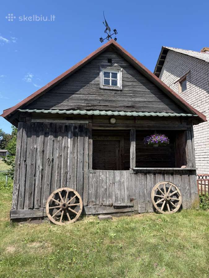 Dovanoju senovinį svirną